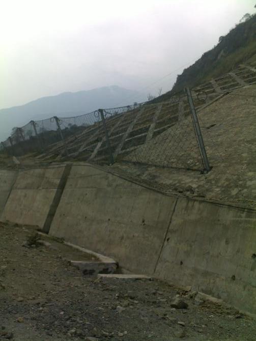 14319362399468367.jpg 14319362399468367.jpg