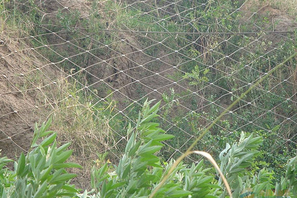 邊坡柔性防護(hù)網(wǎng)施工